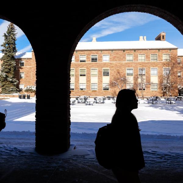 Silhouettes of students on a snowy day