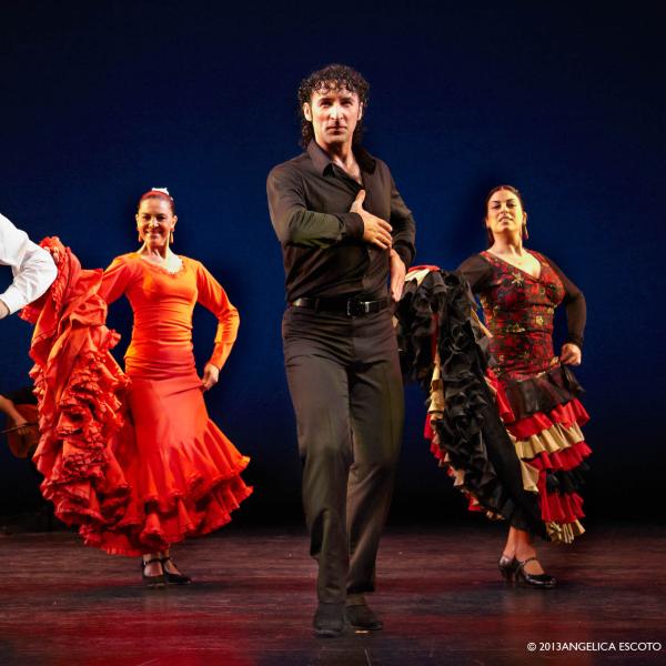 Flamenco Vivo Carlota Santana performs traditional dance on stage