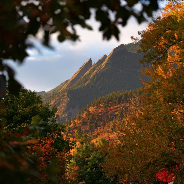 The majestic Flatirons above Boulder framed in fall colors.