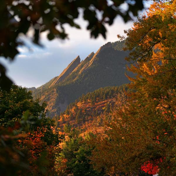 The majestic Flatirons above Boulder framed in fall colors.