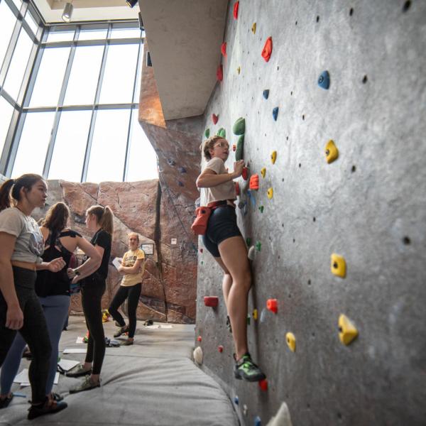 campus community members climbing the rock wall at the Rec