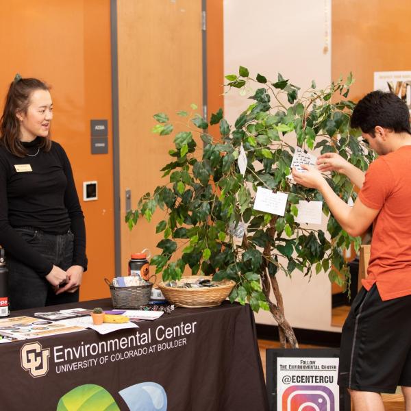 Gratitude Fair
