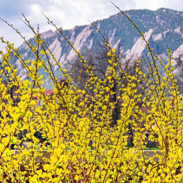 2021 Spring Scenic photos on the CU Boulder campus.