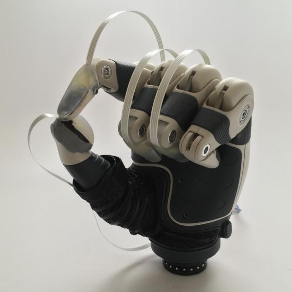 A model hand with fingerprint sensors installed