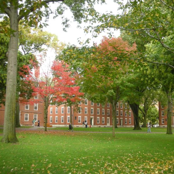 Harvard Yard