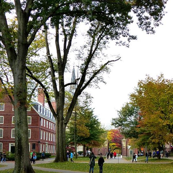 Buildings and people on the Harvard campus