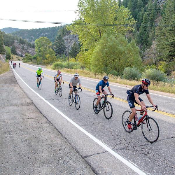 People riding bikes on a mountain road.