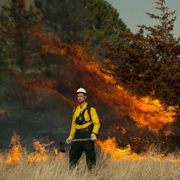 A man stand near a prescribed burn.