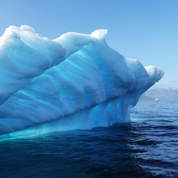 Iceberg