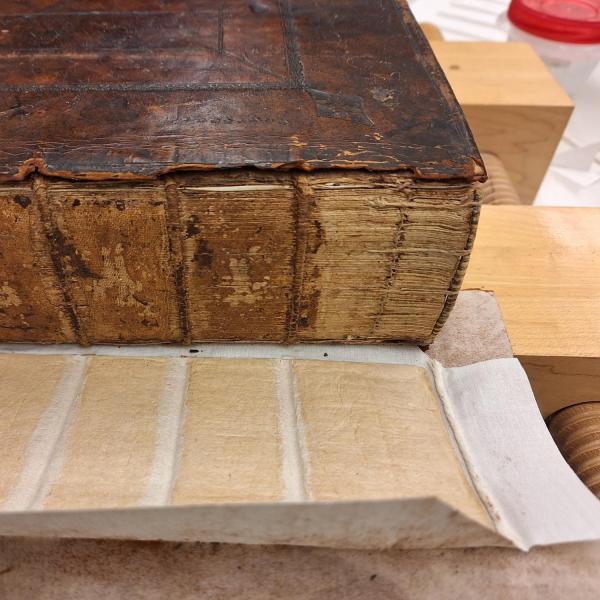 damaged book spine
