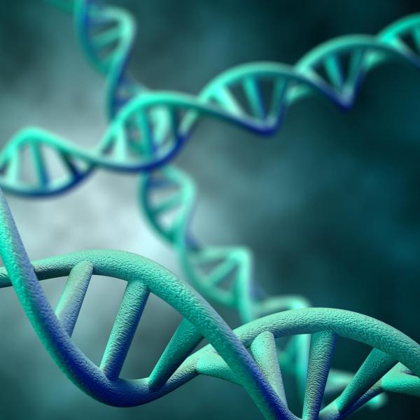 DNA