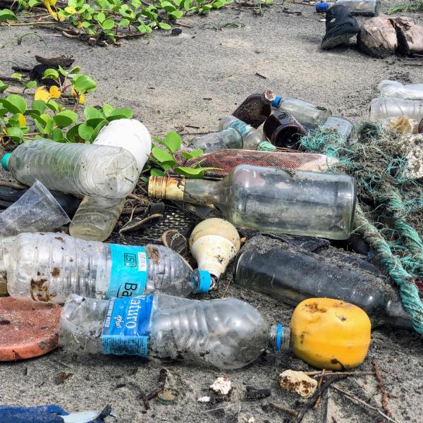 Plastic bottles and other trash on a beach