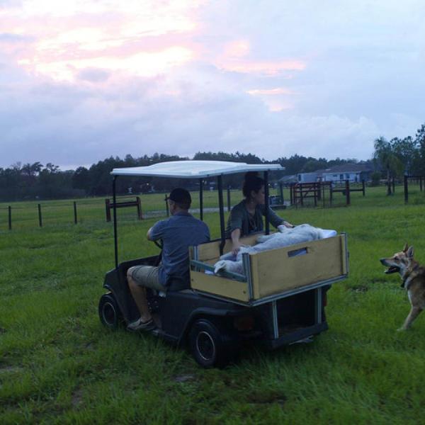 Two people driving golf cart with dog lying in back