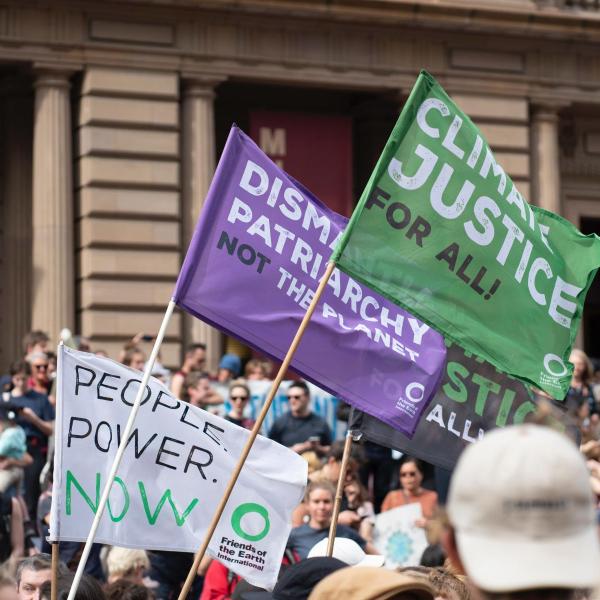Flags waving at a protest