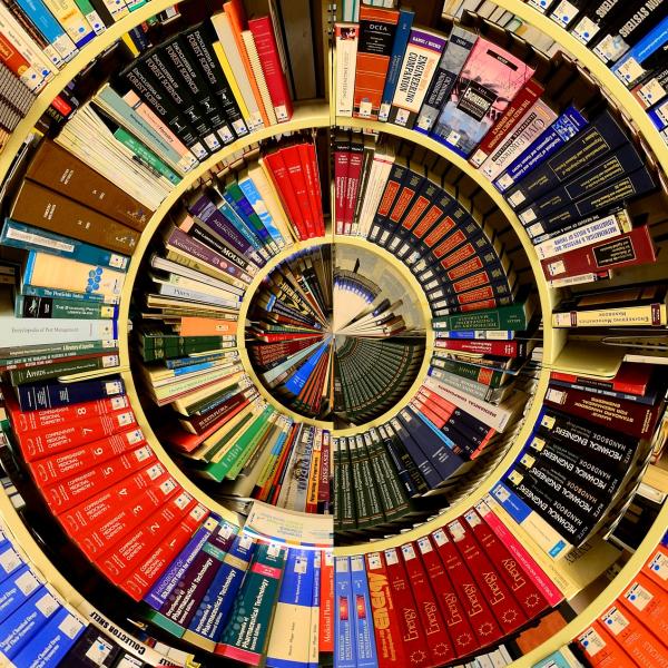 A photo showing books arranged on shelves
