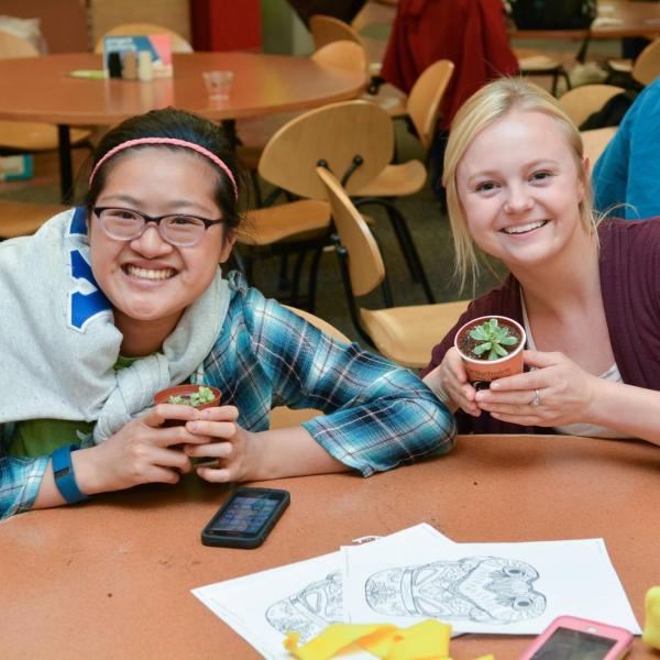 Students take home tiny succulents at a campus event