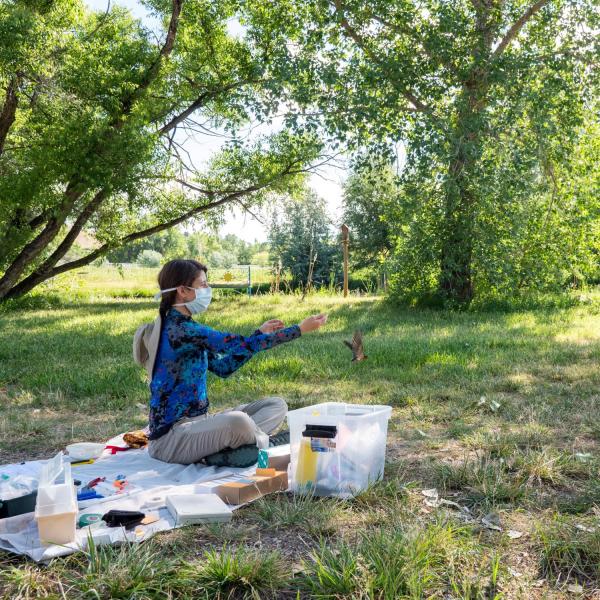 Lead author Molly McDermott tagging a swallow