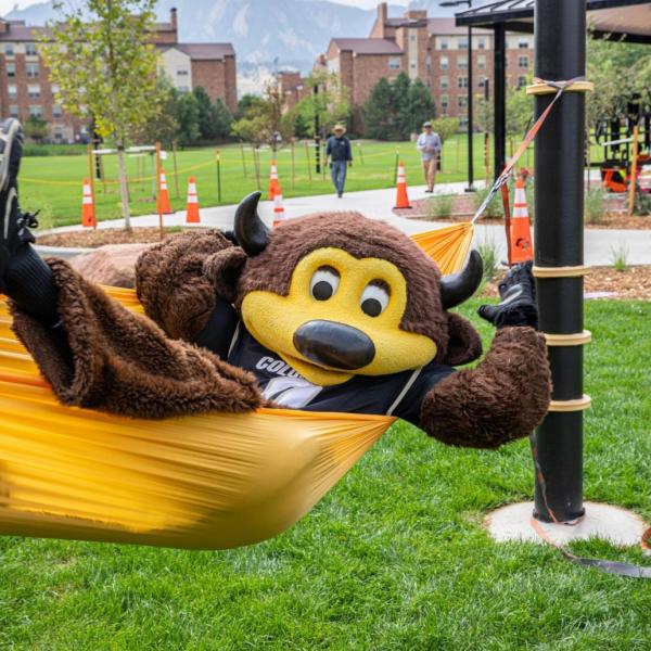 Mascot Chip lounging on a hammock
