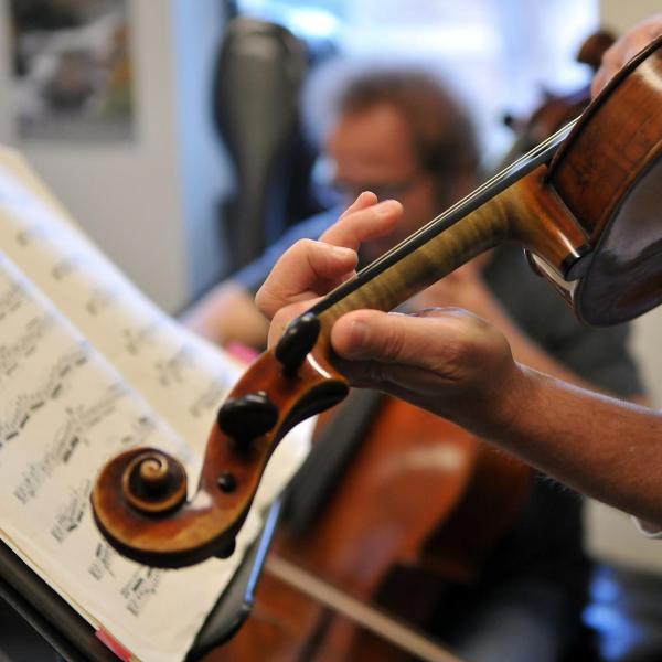 Person playing violin, looking at sheet music