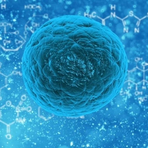 Stock image of a 3-D image of cells