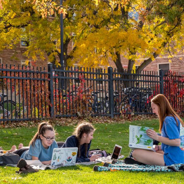 Students studying outside