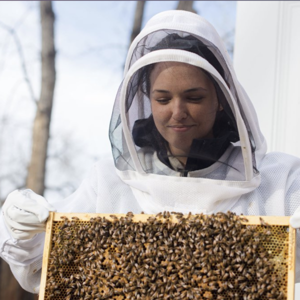 Orit Peleg with bees