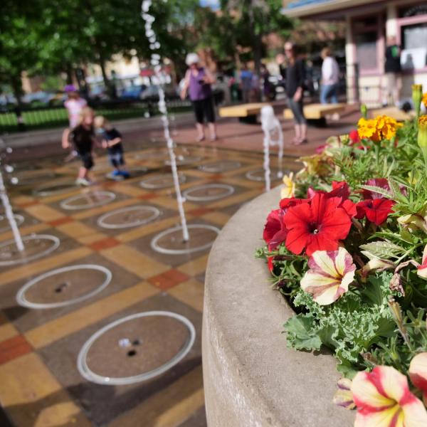 A Pearl street fountain with petuna flowers and children playing in the background.