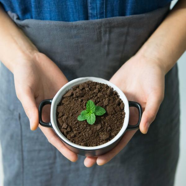 Woman holding small potted plant
