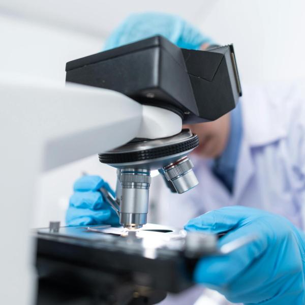 Drug development.