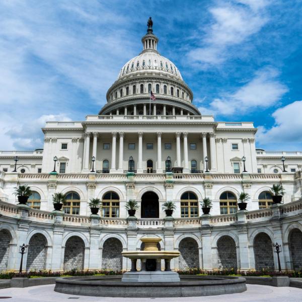 The U.S. Capitol Building