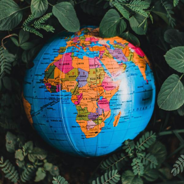 Globe