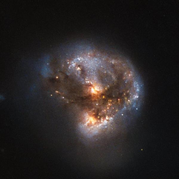 A young megamaser as seen by the Hubble Space Telescope