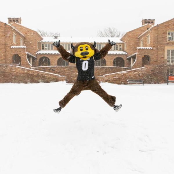 Chip jumping in the snow