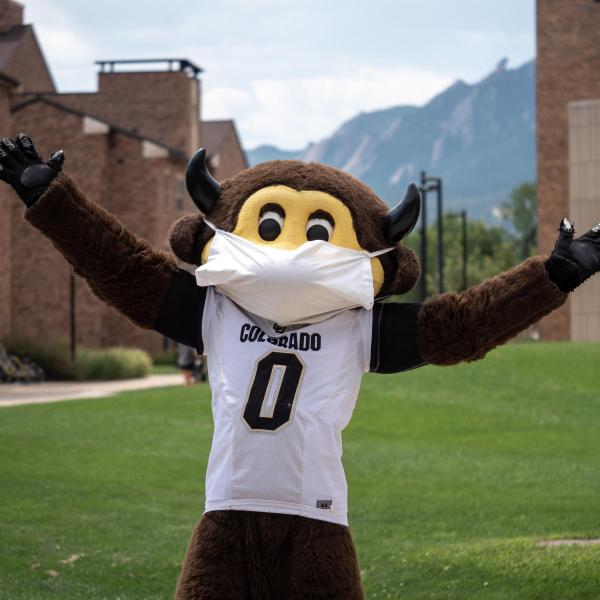 Chip with a mask on.
