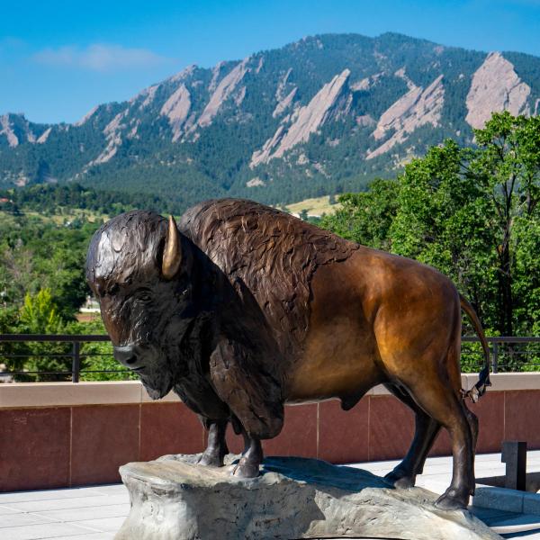 Buffalo statue on top of the CASE building
