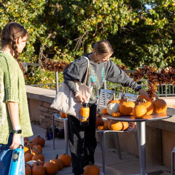Students look at pumpkins on campus