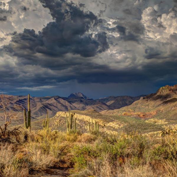 Dark rain clouds in the desert