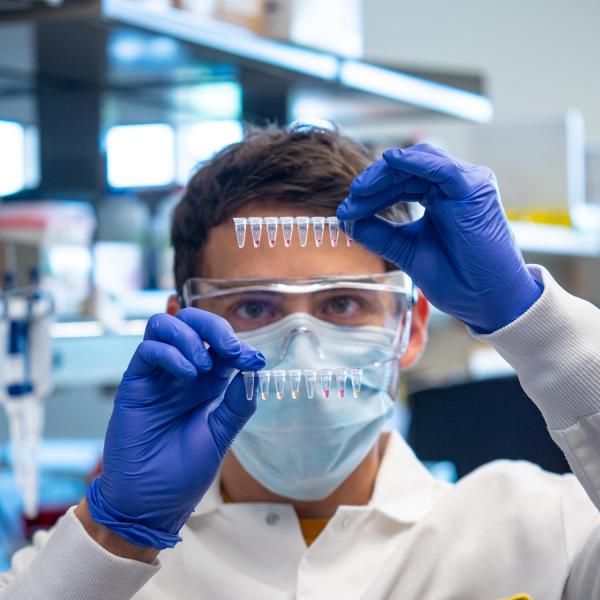 researcher analyzing test tubes