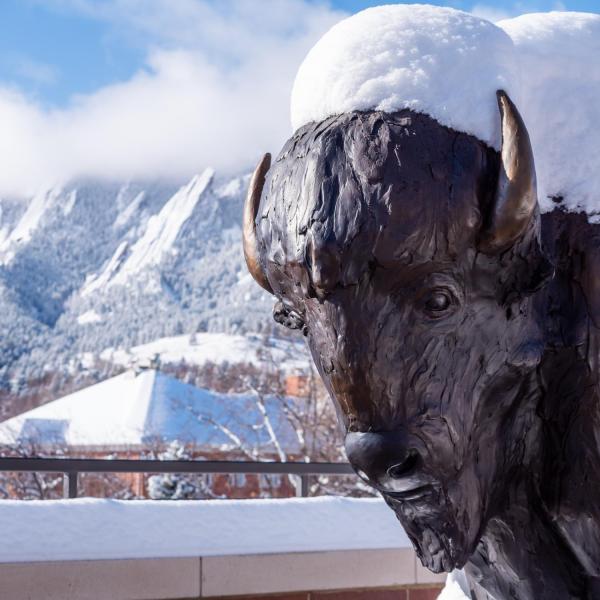 The buffalo statue at CASE in the snow, with the flatirons in the background