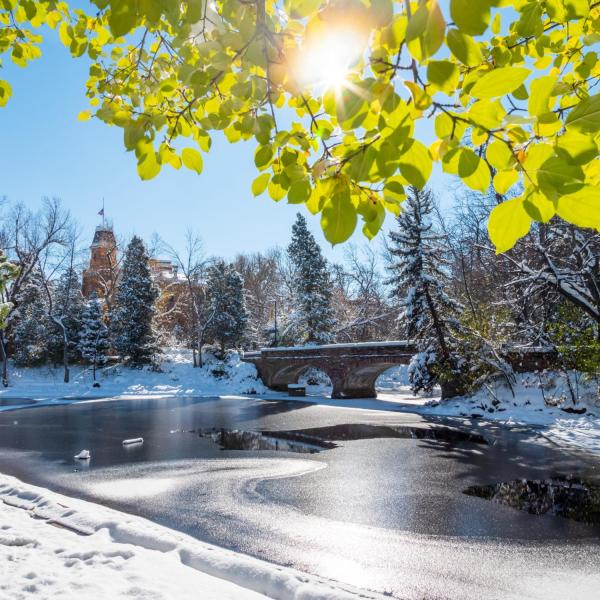 Snowy campus