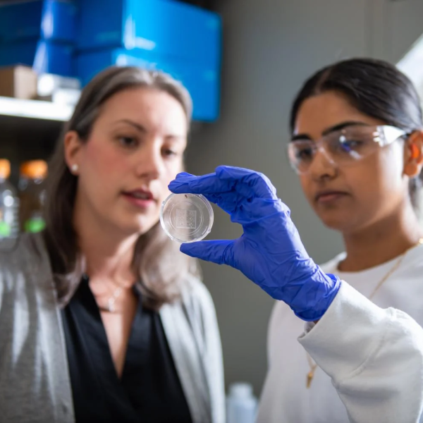 Two people stand near each other and look at a specimen.