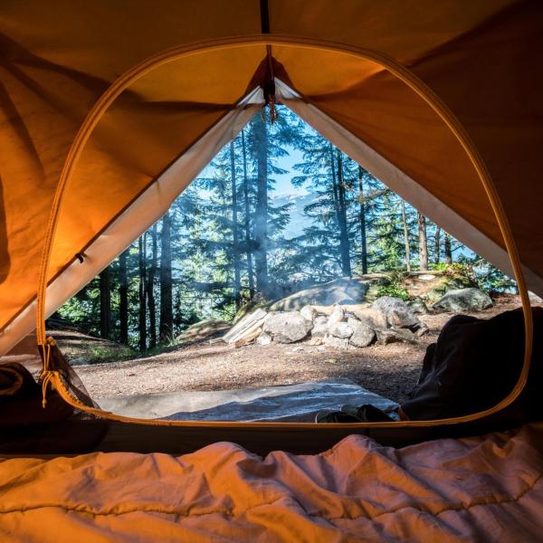View of outdoors from inside a camping tent