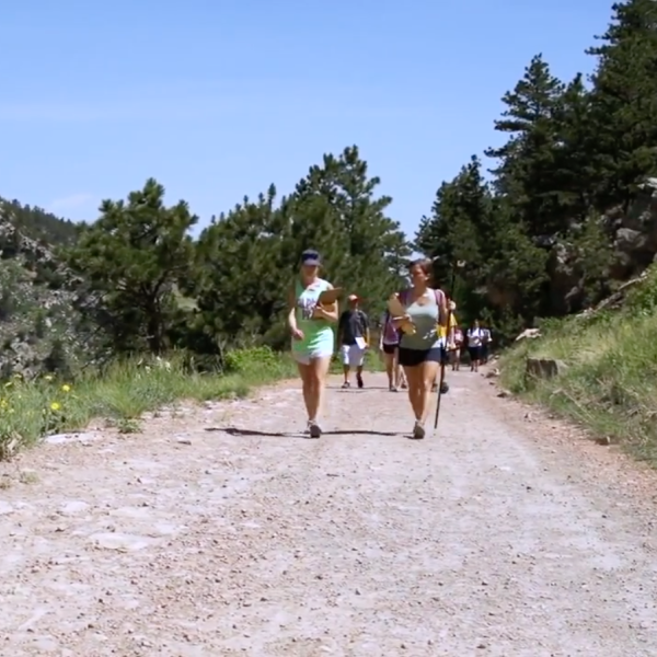CU Boulder geology students working in the field walk down a trail surrounded by mountain slopes, green grass, shrubs and trees.