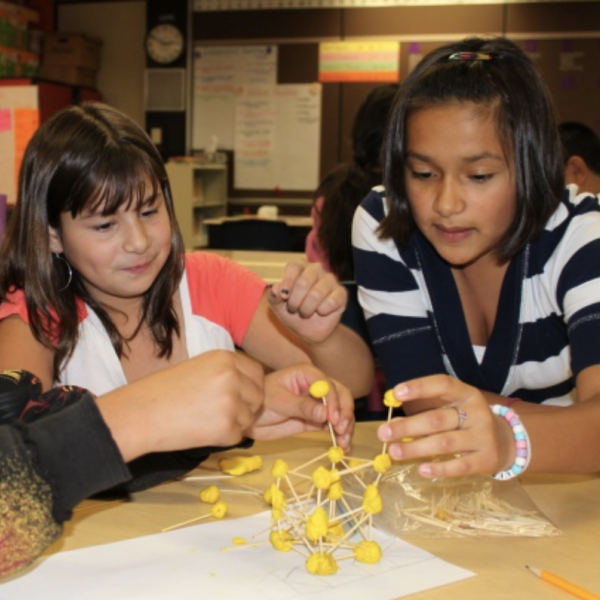 People working on a science project