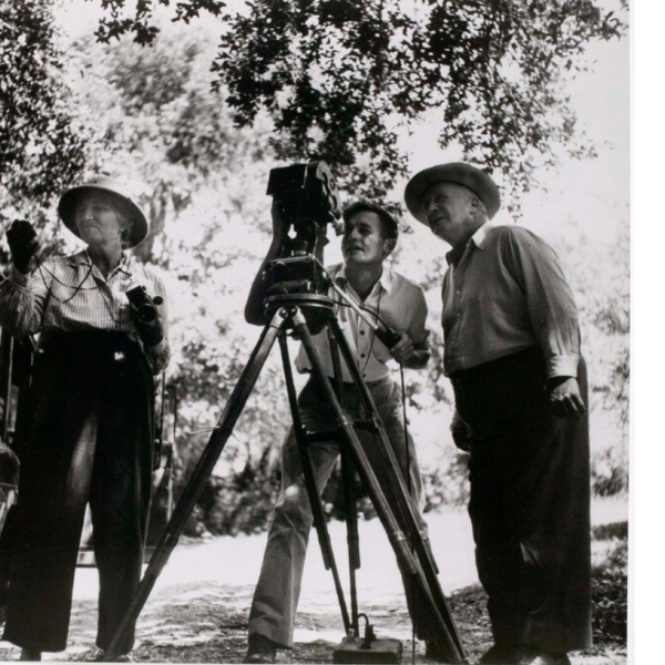 A collage of film images