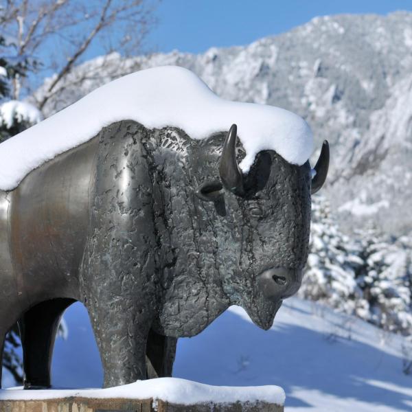 Snowy buffalo statue on campus