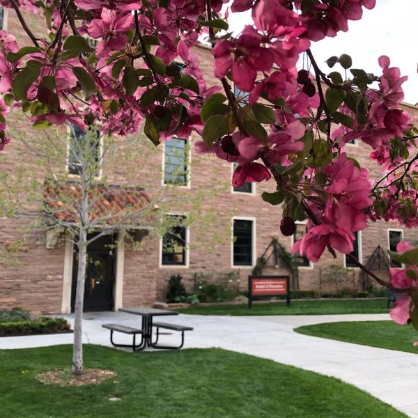 Scenic image of the School of Education courtyard