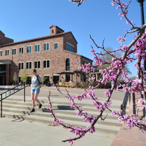 Main campus