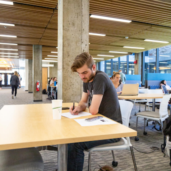 Student Studying