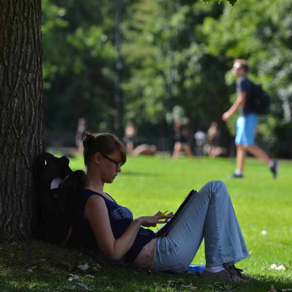 Student studying by tree.